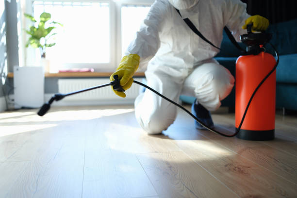 Trusted Sewage Cleanup service in Spencerville, MD - Four Month Blood Cleanse